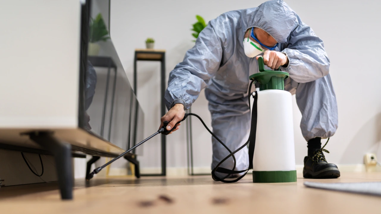 Pest Control Work 4