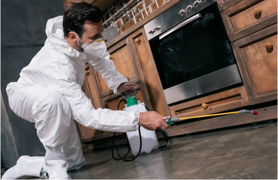 Restaurant Pest Control
